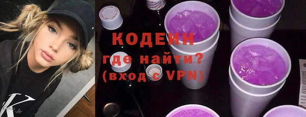 шишки Богородицк